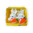 Picture of EASTER BUNNY WITH CARROT - 6 PACK